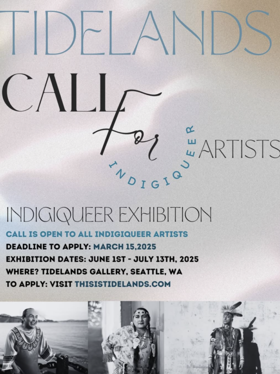 Call for Artists: IndigiQueer exhibition
