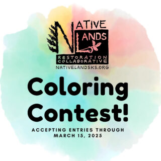 Harpo Foundation Grants for Native Artists