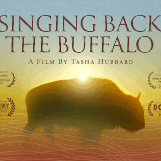 Pakanli – To Bloom