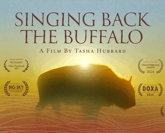 Watch: Singing Back the Buffalo