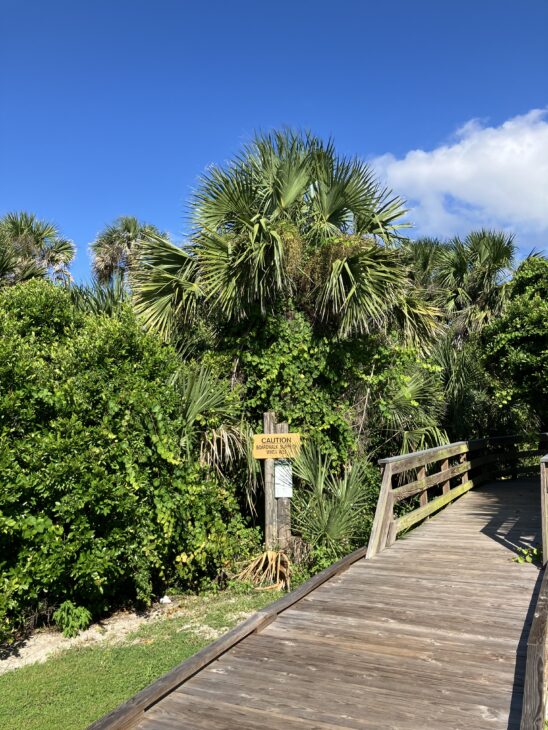 The entrance to the Turtle Mound Archeological Site (Photo/Fry Bread)