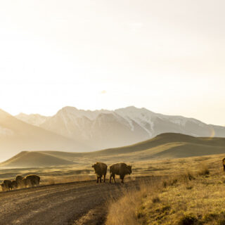 Library Street Collective presents ‘A Heart and a Land’ exhibition