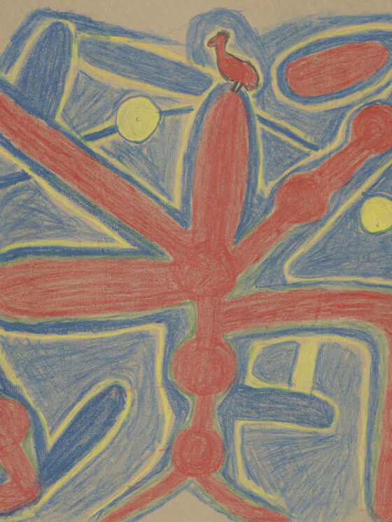 Rare 1945 Aboriginal drawings revealed in Perth Festival exhibition