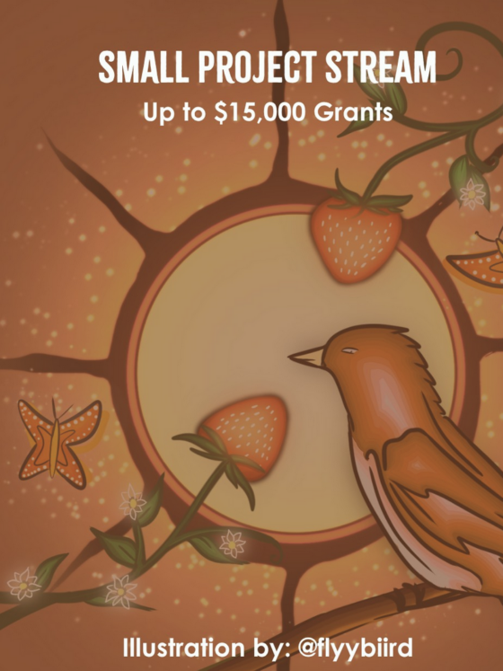 Indigenous Youth Roots Launches Youth Empowerment Grants Up to $5,000