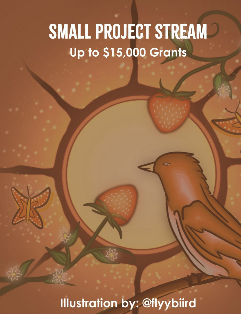 Indigenous Youth Roots Launches Youth Empowerment Grants Up to $5,000