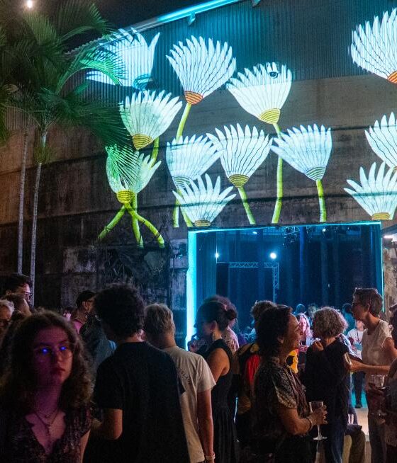 Cairns Indigenous Art Fair unveils 2026 theme celebrating ‘reclamation and regeneration’