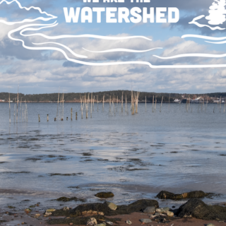 Nanibaa Beck to speak and showcase jewelry at Santa Fe event