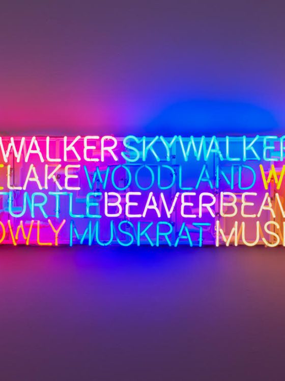 Ponca artist Sarah Rowe named first recipient of $50,000 Native Neon residency in Kingston, NY