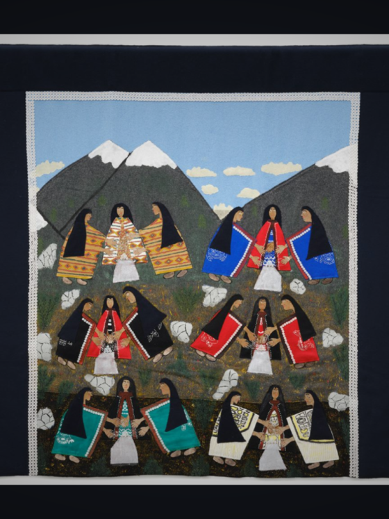 ‘I Use My Haida Eyes’ exhibition brings Hazel Wilson’s history robes to public view