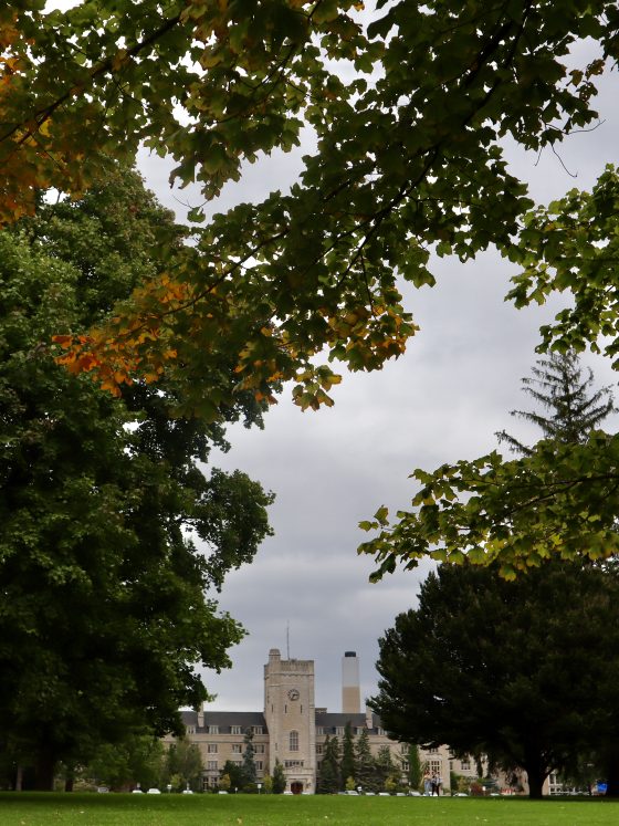University of Guelph marks Indigenous History Month with language revitalization, new recruitment role, and community exhibitions